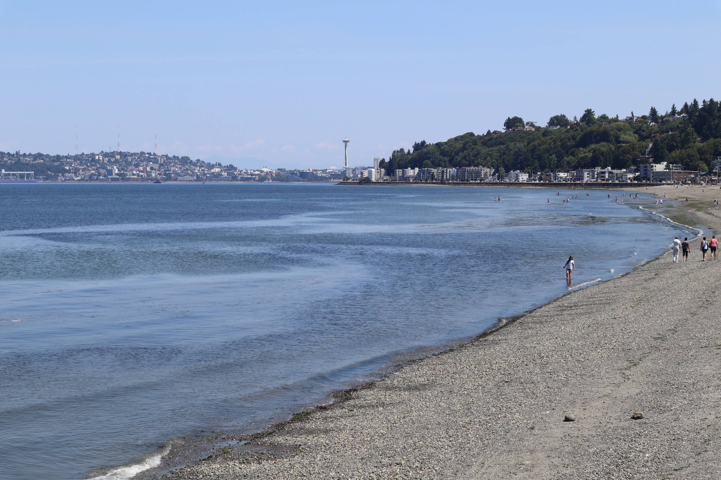 A beach in the foreground, with people walking and swimming, in the middle ground a piece of land juts out and you can see buildings and housing, the distance is the Space Needle and the Queen Anne Hill neighborhood with houses going up the hill.